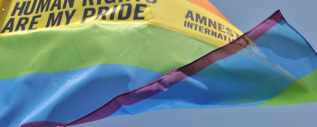 LGBT Amnistia